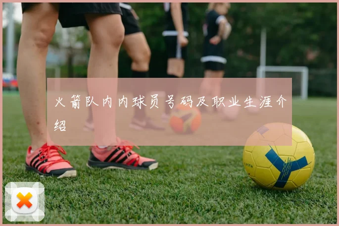 火箭队内内球员号码及职业生涯介绍